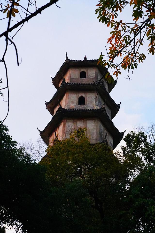 温州江心屿特色，浙江温州有个很出名的岛屿