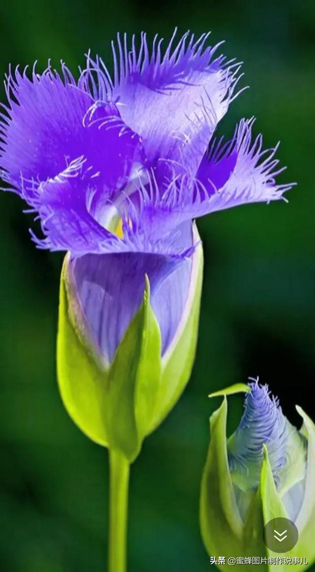 美美美的，美美美的表情包（壁纸美图）