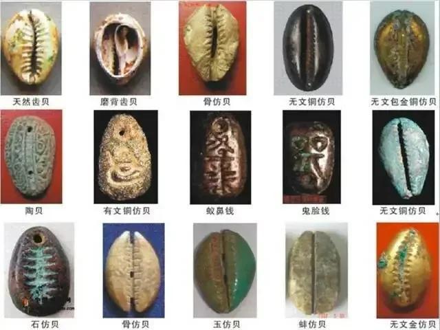 从古至今的钱币的顺序图片，从古至今的钱币顺序图（钱币发展图）