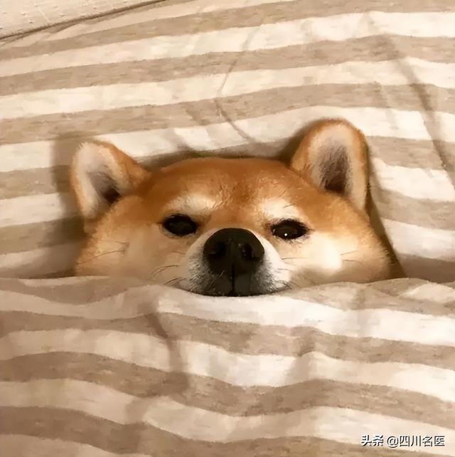 被鬼压床了怎么办，鬼压床怎么办最有效的方法（“鬼压床”竟然都是这些“鬼”在作怪）