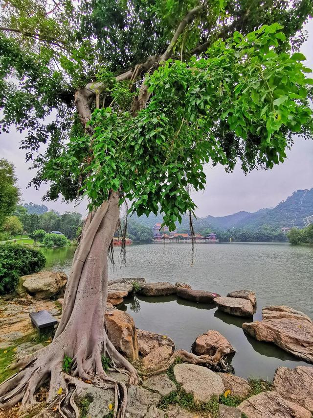 珠海属于哪个市，珠海属于哪个市哪个城市（干净又浪漫的年轻城市——珠海）