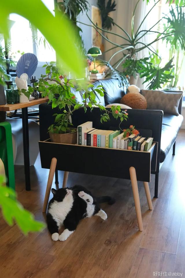 后悔买记忆棉床垫，后悔买记忆棉床垫有什么说法（这15件家居好物，后悔买晚了）