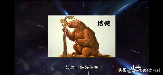 什么叫哺乳动物，什么叫哺乳动物怎么听一遍啊（<二十一>——强大的哺乳动物）