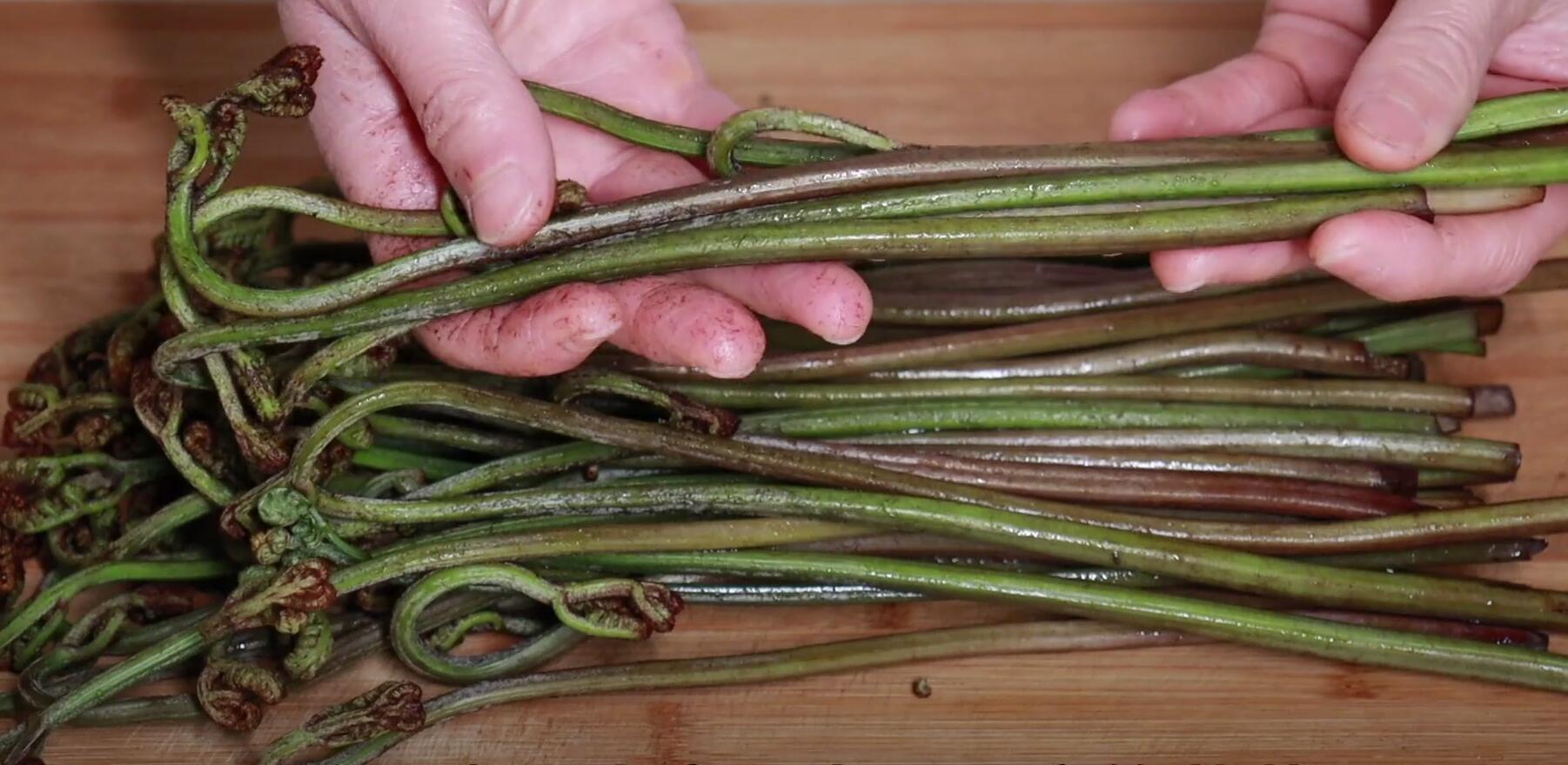 护肝第一名的野菜，养肝护肝第一名（藏在草丛中的“护肝猛将”）