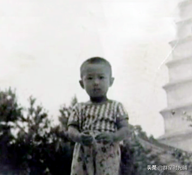 “娱乐圈劳模”张嘉译：40岁才走红，与王海燕的恩爱婚姻引人羡慕