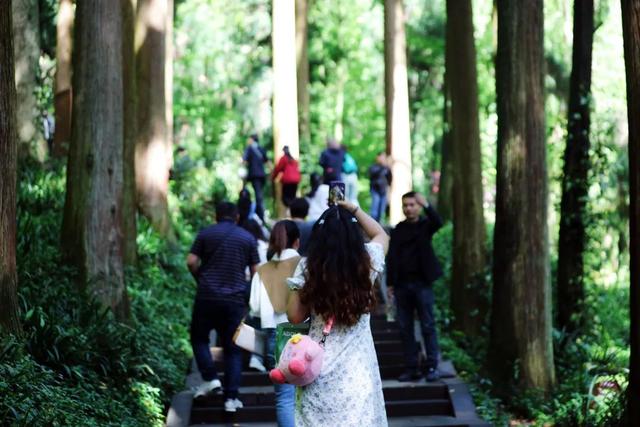 成都市青城山都江堰旅游景区，这个五一青城山-都江堰景区超火爆