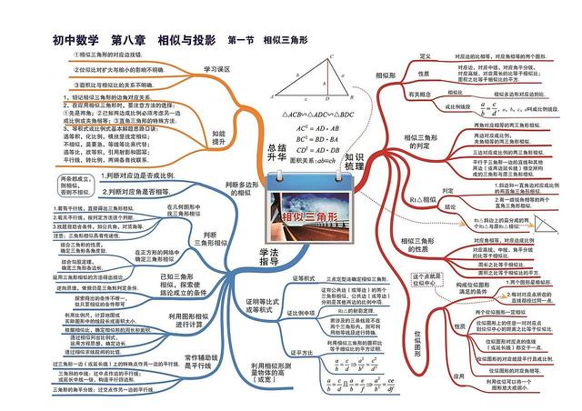 数学知识树怎么画，数学知识树怎么画（七到九年级数学章节）