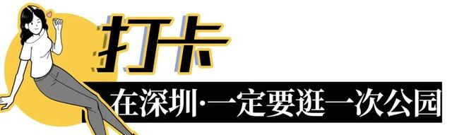 深圳旅游全攻略，深圳必须去的50个地方