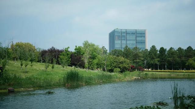 同济大学地址，同济大学地质资源与地质工程（报考同济，你一定要看）