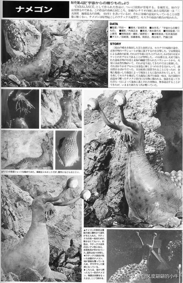 手q是什么意思，手Q是什么意思（奥特Q怪兽图鉴）