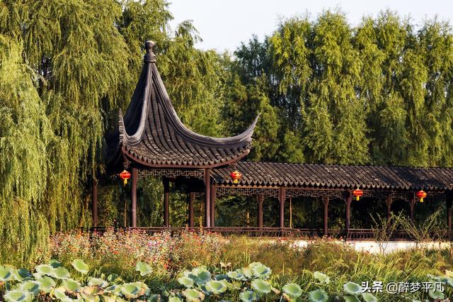 苏州太湖湿地公园，苏州太湖湿地公园介绍（苏州吴中太湖旅游区）