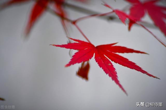 怎么拍照片好看，手机怎么拍照片好看（照片不能“瞎拍”）