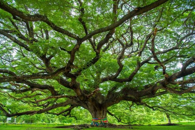 给姑生日祝福语八个字（28首生日诗词）