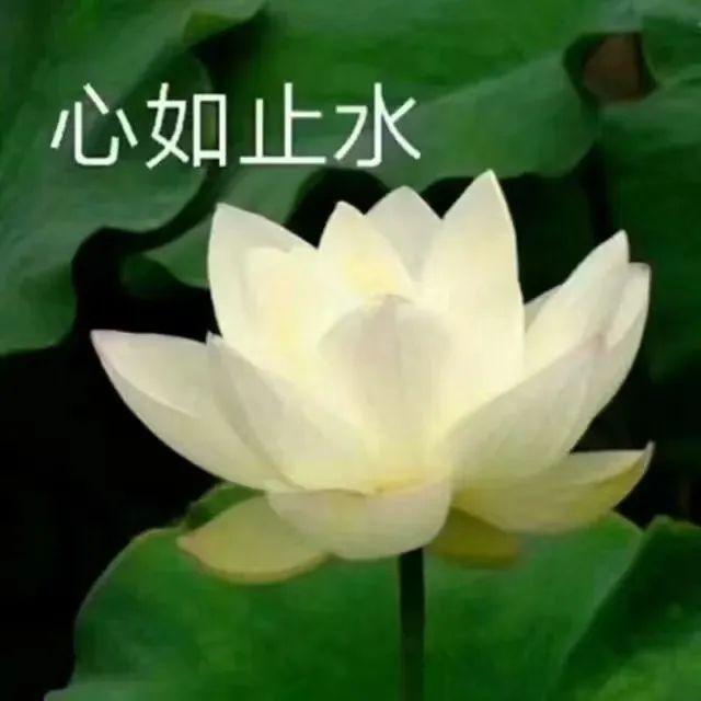 微信头像｜精选朋友圈优质头像，精选优质微信头像大全（头像 ， 朋友圈里最靓的头像）