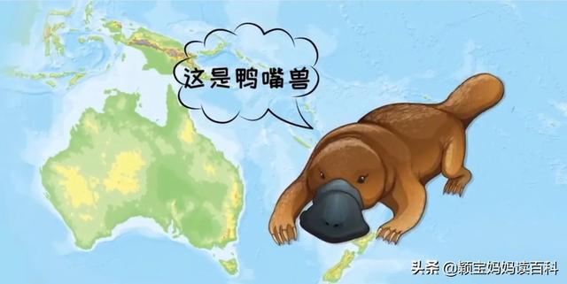 什么叫哺乳动物，什么叫哺乳动物怎么听一遍啊（<二十一>——强大的哺乳动物）