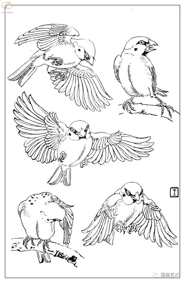 火的简笔画图片，火焰怎么画简笔画图片（画鸟参考——白描麻雀百图）