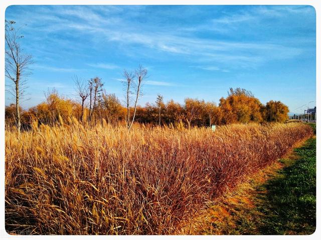 什么是民办高校，公办和民办高校（解读5所优质的民办高校）