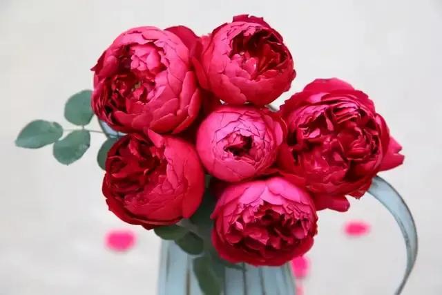 免打扰模式怎么设置，手机免打扰模式在哪里设置（手机免打扰模式开启）