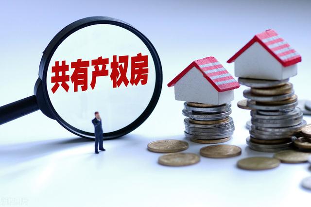 什么是共有产权，什么是共有产权房?对买卖有何要求（一文让你读懂什么叫共有产权住房）
