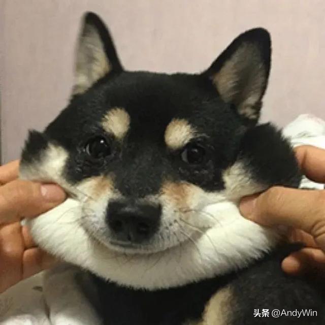 网红情头，微信头像，网红情头（超火的七夕头像壁纸）