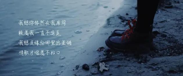 2022最新好听的yy网络签名 情不知所起一往而深，2022最新好听的yy网络签名（2022年最新另类的的爱情的句子）