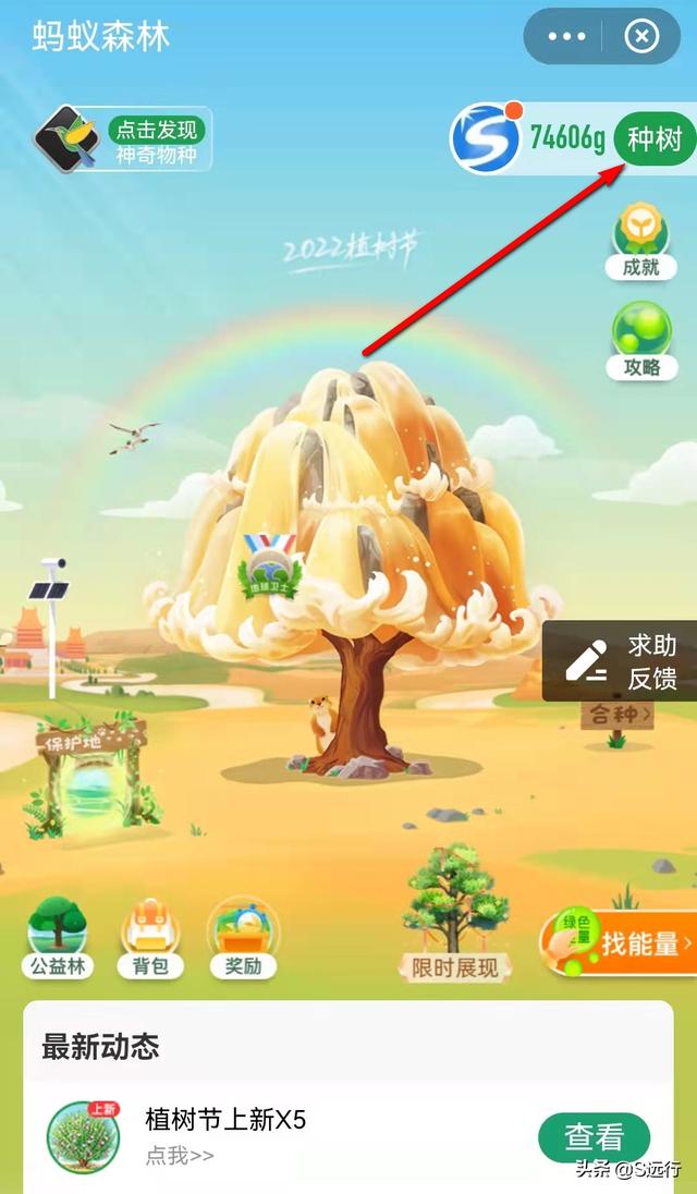 支付宝蚂蚁森林最新挂件_蚂蚁森林挂机软件_支付宝蚂蚁森林外挂
