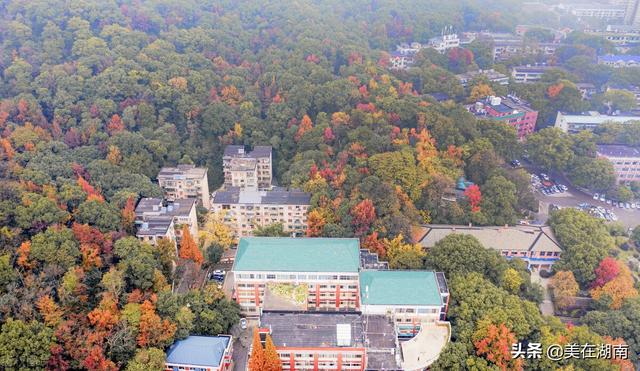 衡阳县第一中学，衡阳县一中清北班有几个（2022年湖南部分学校的高考成绩）