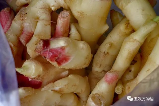 姜的种类和功效，姜的种类和功效和作用（12种姜科的辛香料）