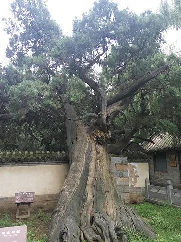 河南在哪里，河南在哪里属于哪个省（关于河南的一些小知识）