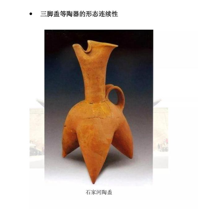 华夏族是指什么民族，中华民族简史