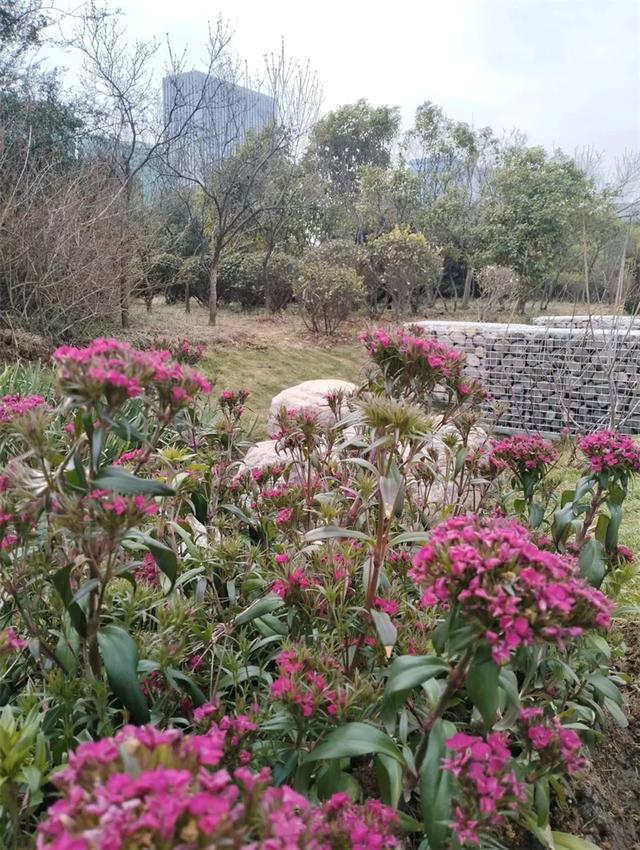 信阳旅游景点大全排名，信阳旅游必去景点（信阳周末游玩攻略之市区赏梅）
