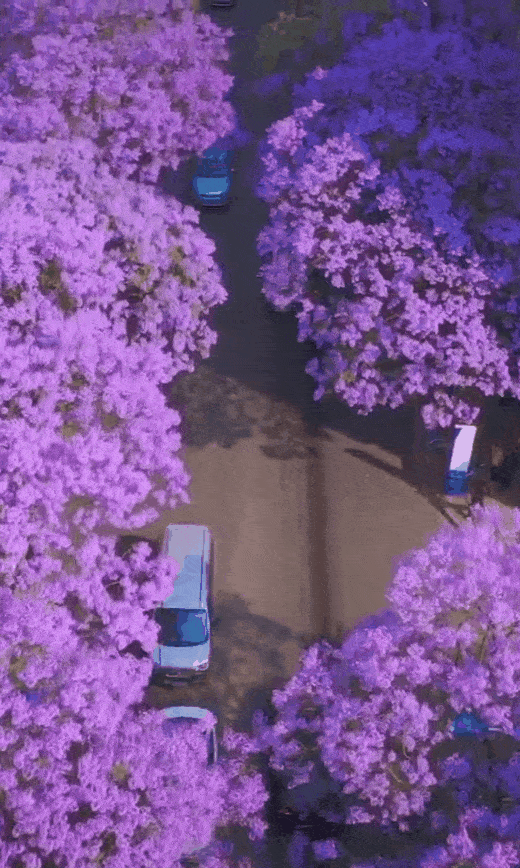 最适合穷人养老的城市，最适合穷人养老的四线城市（国内工资不高但想生活的12座城市）