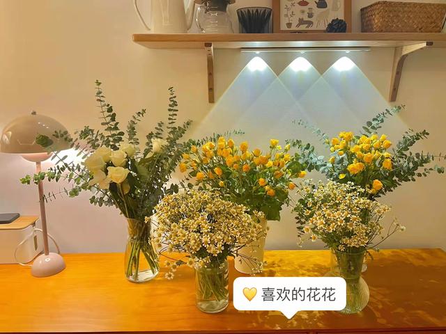 优美词句，优美词句段落（惊艳了时光的优美句子）