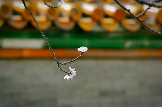 描写水的古诗，跟水有关的古诗有哪些（10首短篇古诗）