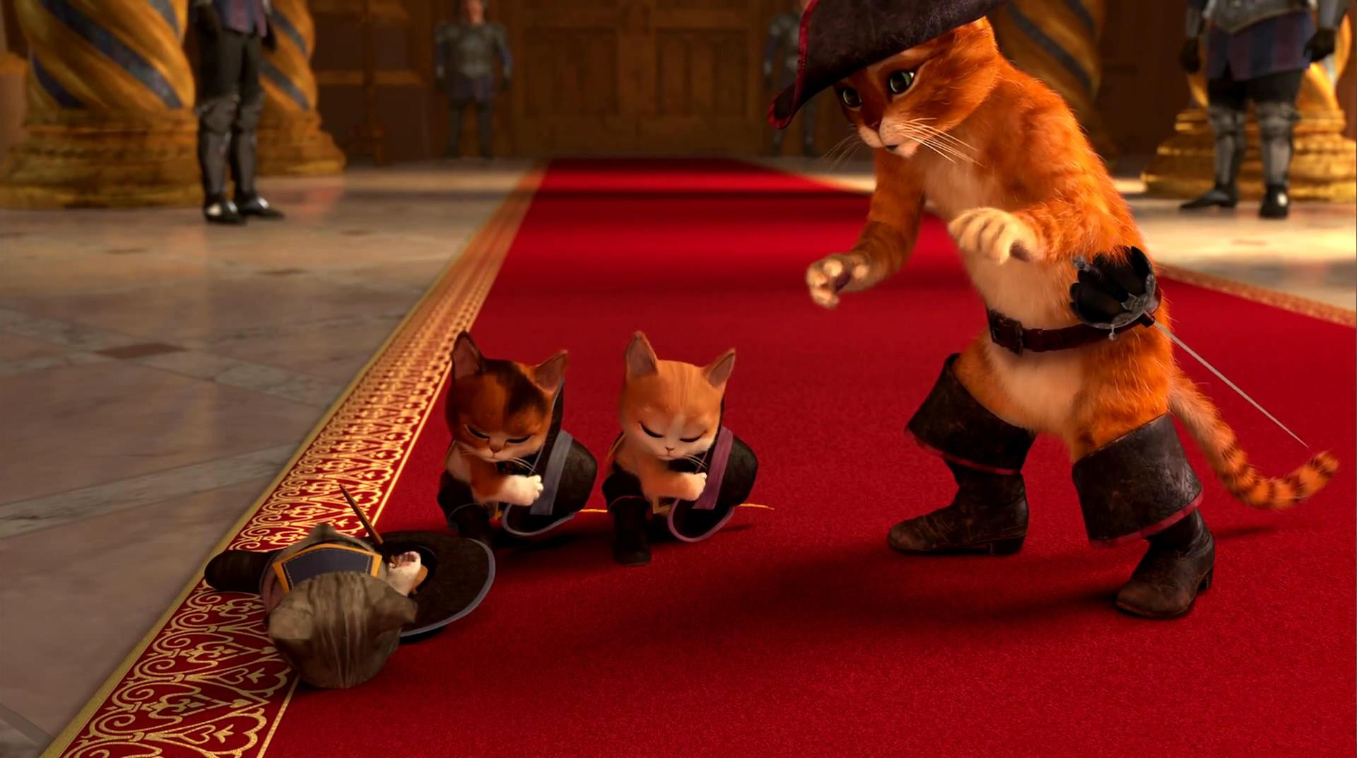 影视|电影《穿靴子的猫》里猫咪可爱的瞬间