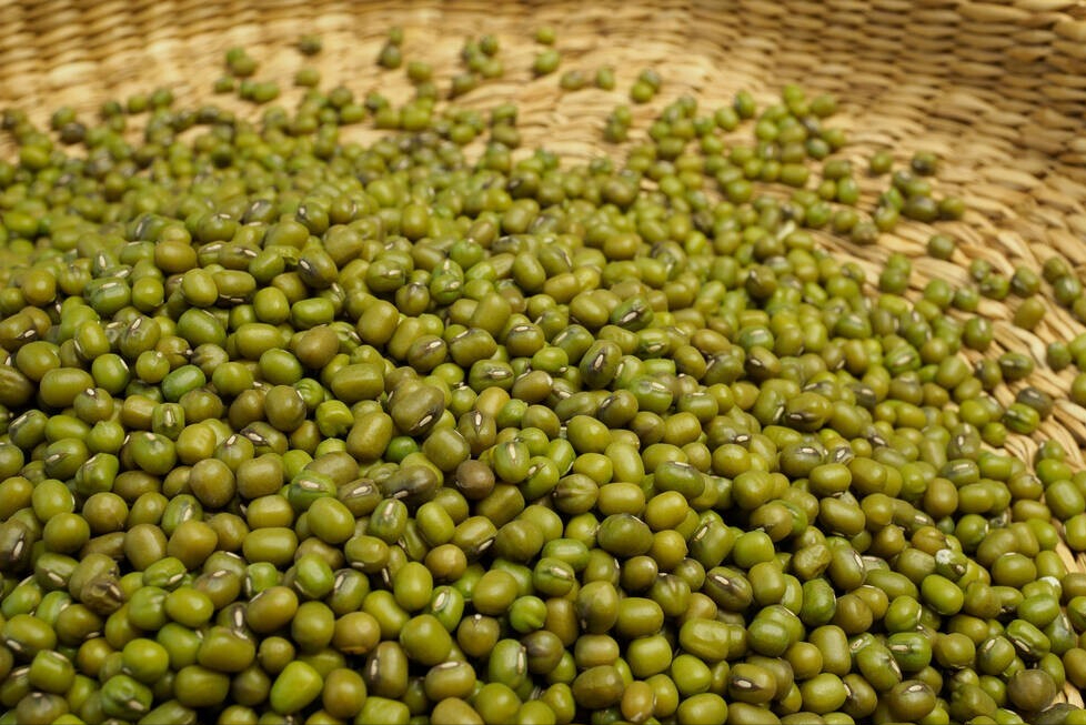 2022年梅雨季节是几月份到几月份结束，2022梅雨季节是几月份到几月份结束（老人讲“梅雨吃三宝）