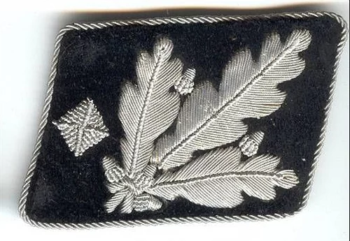 三星两杠什么军衔，关于军衔等级介绍（二战德国党卫军军衔简介）