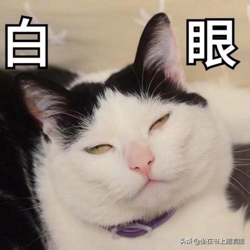 年限是什么意思，说好的工作多一年
