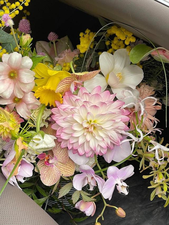 花朵系列背景图，花朵背景图片大全高清唯美（温馨又治愈的花朵背景图）