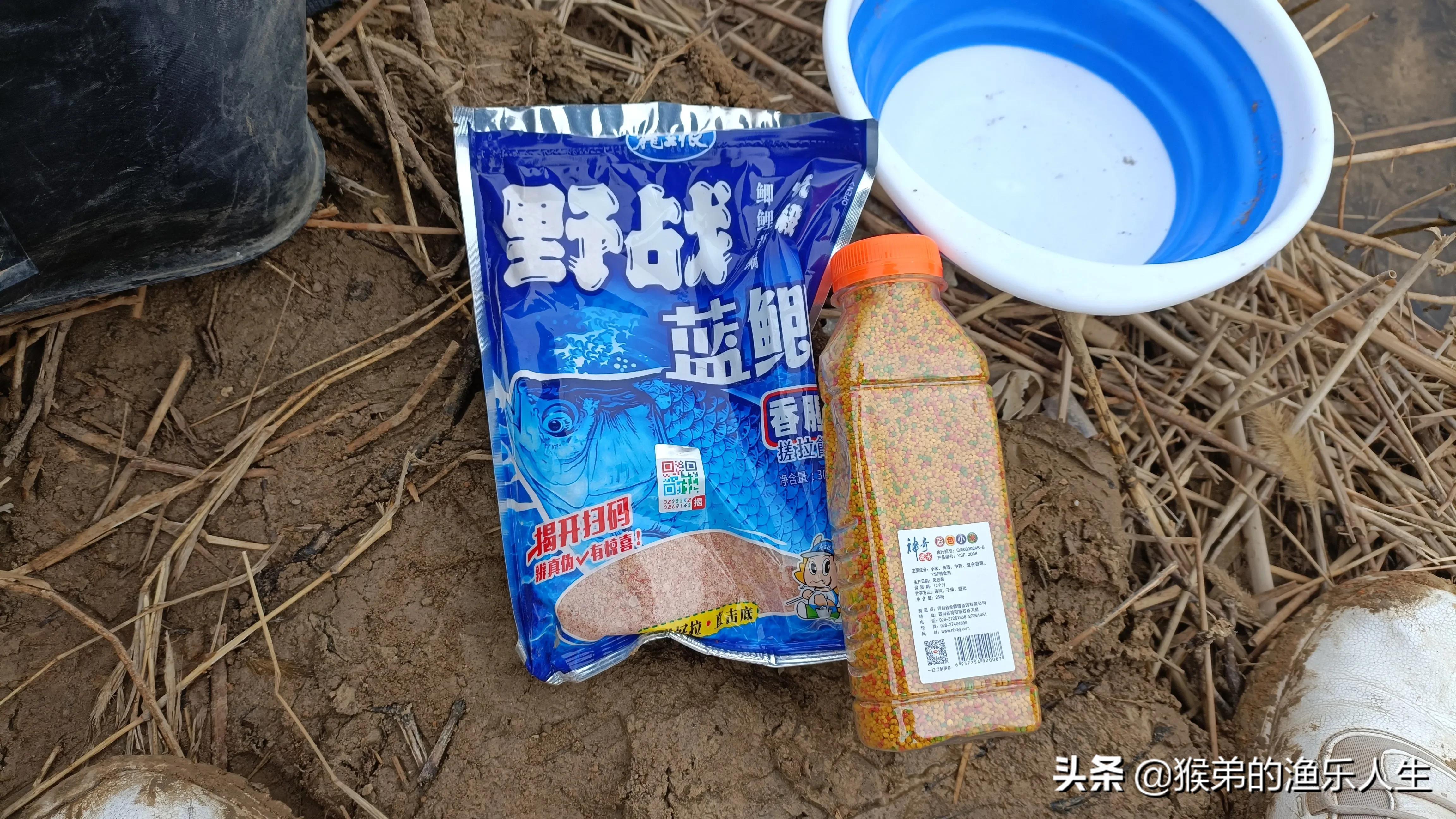 蓝鲫单开难封神？揭秘最佳配方搭配技巧，让你钓获翻倍！