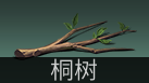 明日之后兽角怎么得，明日之后中兽角怎么获得（五分钟助你成为快）