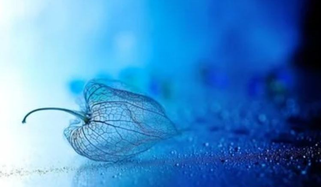 不顾别人感受就是自私，有一种自私叫不顾及别人感受（通常会有的特性图片）