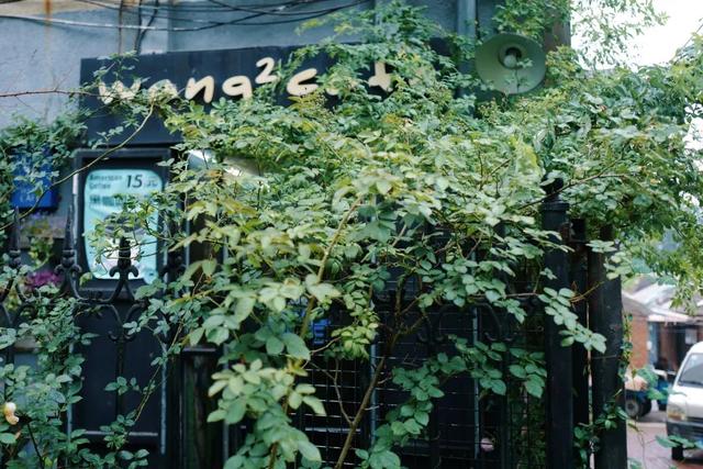 烟台自由行攻略，烟台旅游攻略自由行（这座低调的海滨城市）