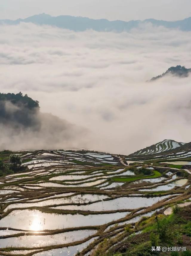 抚仙湖要门票吗，抚仙湖攻略一日游（挖到李健超爱的神仙小城）