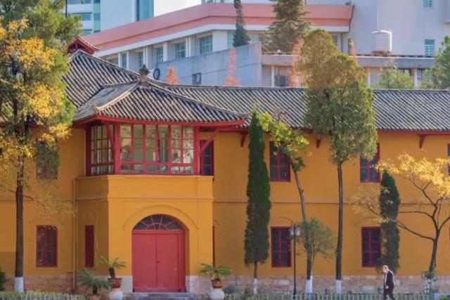 云南最好吃的野生菌在哪，中国最浪漫城市非她莫属