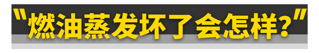 碳罐多久换一次，朗动的碳罐多久更换一次（也千万别把油“加满”）