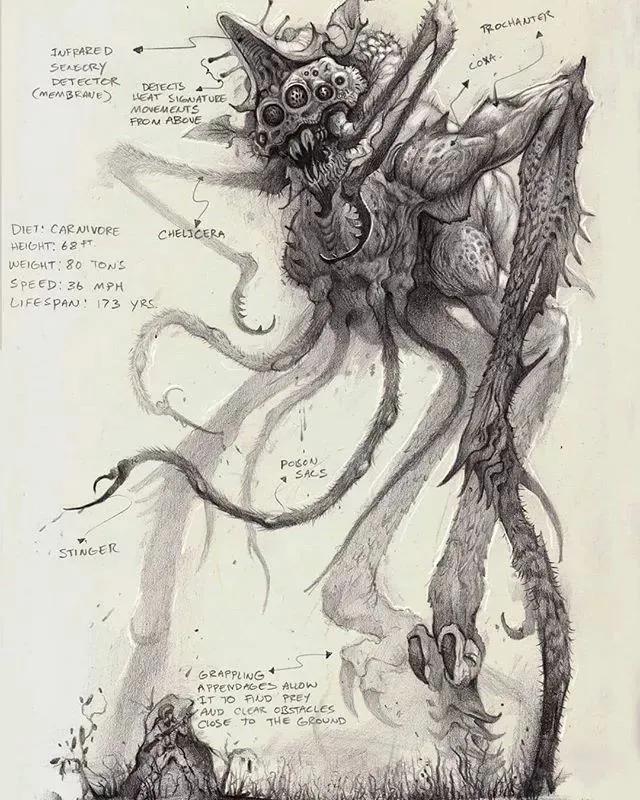 牛怎么画简单又漂亮，正方形简笔画之如何画牛（用作简单的绘画工具）