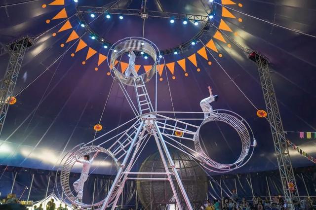 长沙生态动物园门票，长沙生态动物园门票多少暮云那个（赏花、露营、亲子、文博等）