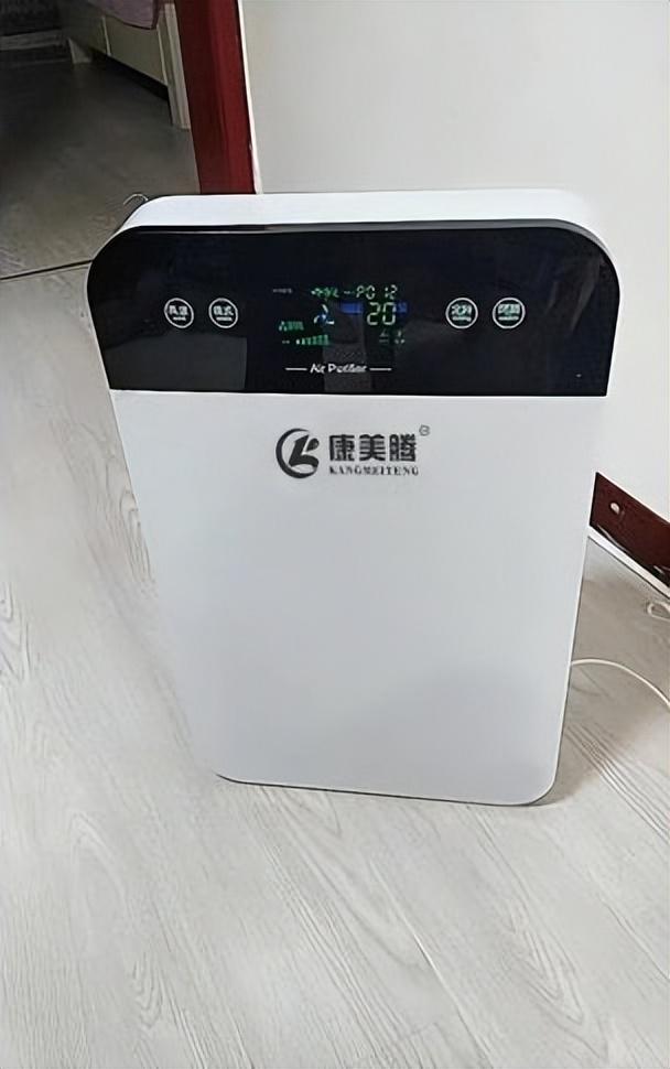 全国除甲醛权威公司，中国十大除甲醛品牌有哪些（除甲醛空气净化器十大排名）
