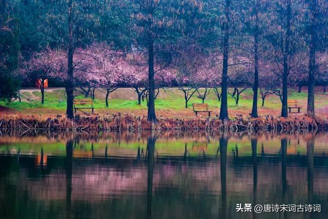 正月里来是新年，正月里来是新年啊大年初一头一天是什么歌（正月里来是新春）